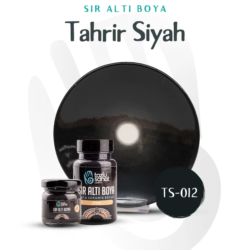 Hazır Çini ve Seramik Boyası TS-012 Siyah 40ml