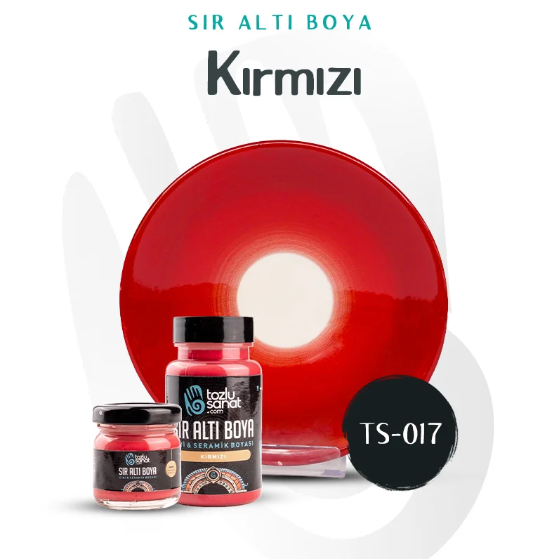 Hazır Çini ve Seramik Boyası TS-016 Kırmızı 100ml