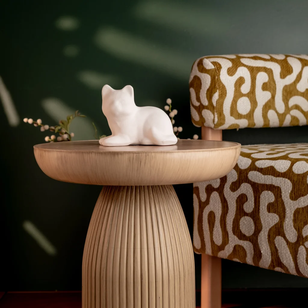 Kedi Biblo Büyük Model:5